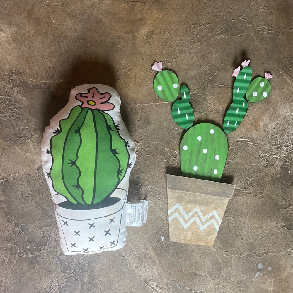 Like new cactus pillow and cactus sign